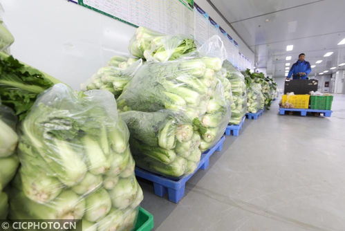贵州遵义 农产品产供销一条龙确保食品安全